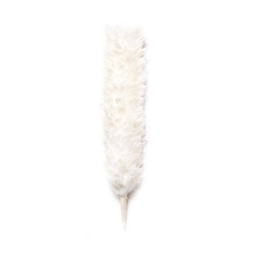 house-of-scotland-feather-hackle-white-color-12-inches